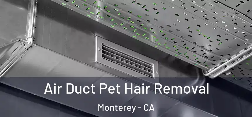 Air Duct Pet Hair Removal Monterey - CA