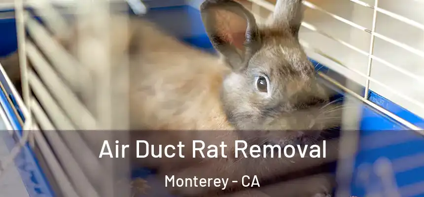  Air Duct Rat Removal Monterey - CA