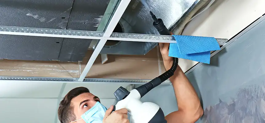 Our Air Duct Rodent Removal Services in Monterey, CA