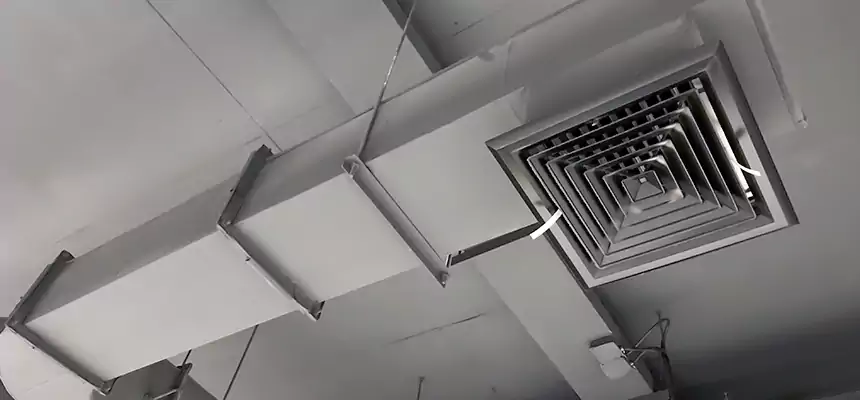 Our Pest Removal From Ducts Services in Monterey, CA