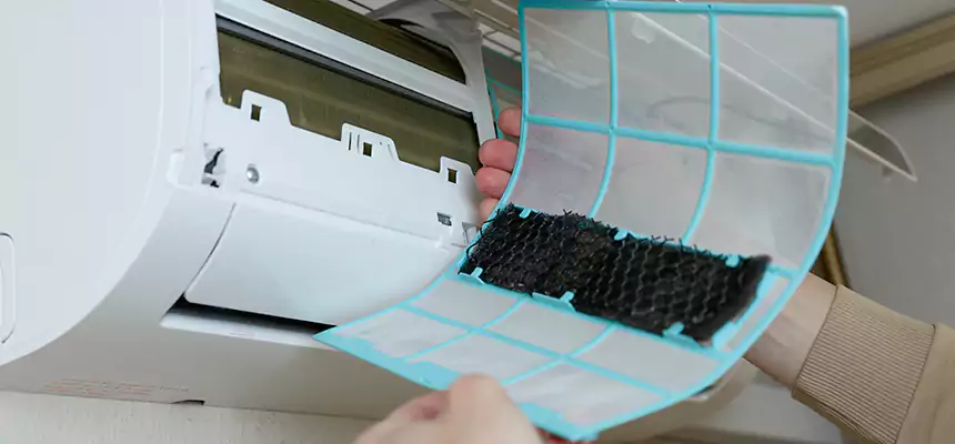 Gentle Ductwork Odor-Control Pet Dander Duct Cleaning in Monterey, CA