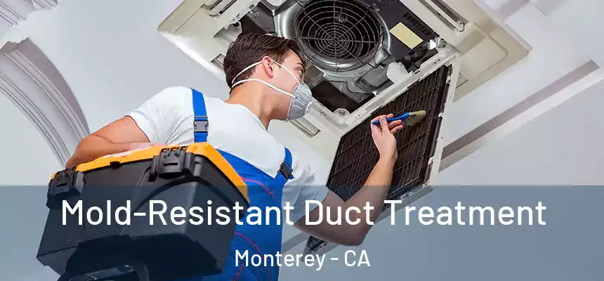  Mold-Resistant Duct Treatment Monterey - CA
