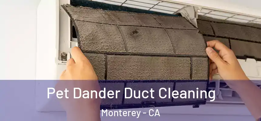 Pet Dander Duct Cleaning Monterey - CA