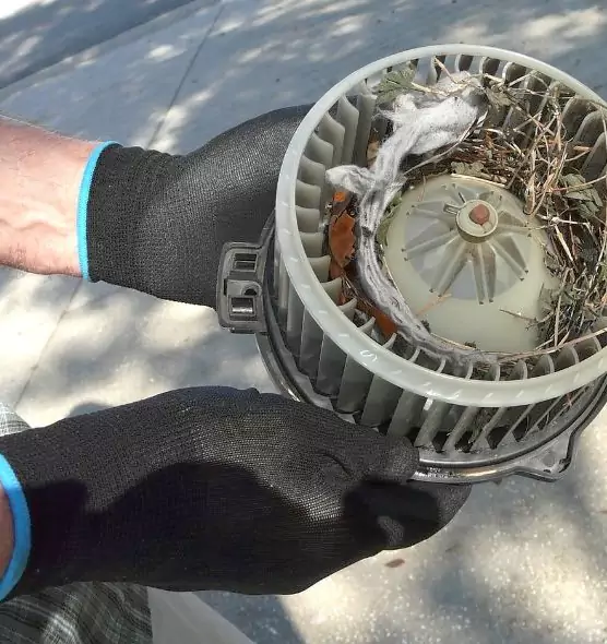 About Air Duct Mice Removal in Monterey, CA