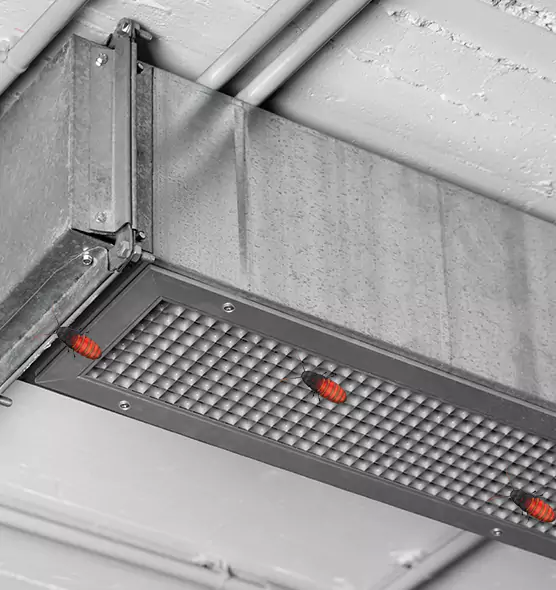 Affordable Insect Removal from Air Ducts in Monterey, CA