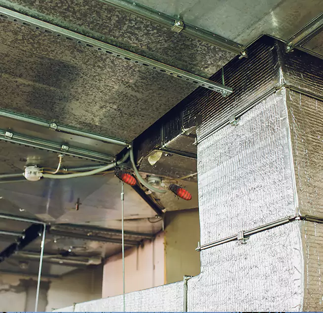 Why Homeowners & Businesses Trust Us in Monterey, CA?