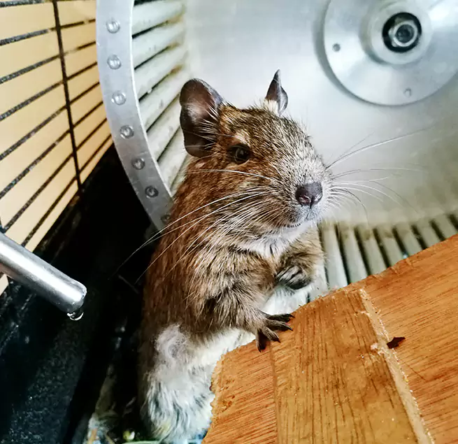 Why Homeowners & Businesses Trust Us Monterey, CA?