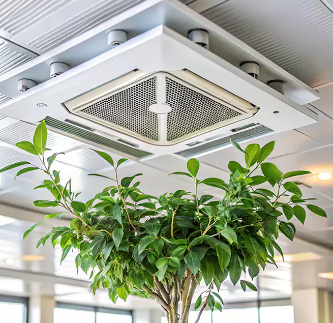 Why Homeowners & Businesses Trust Us in Monterey, CA?