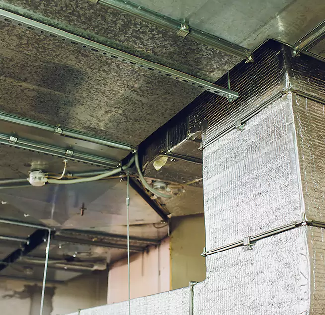 Why Homeowners & Businesses Trust Us in Monterey, CA?