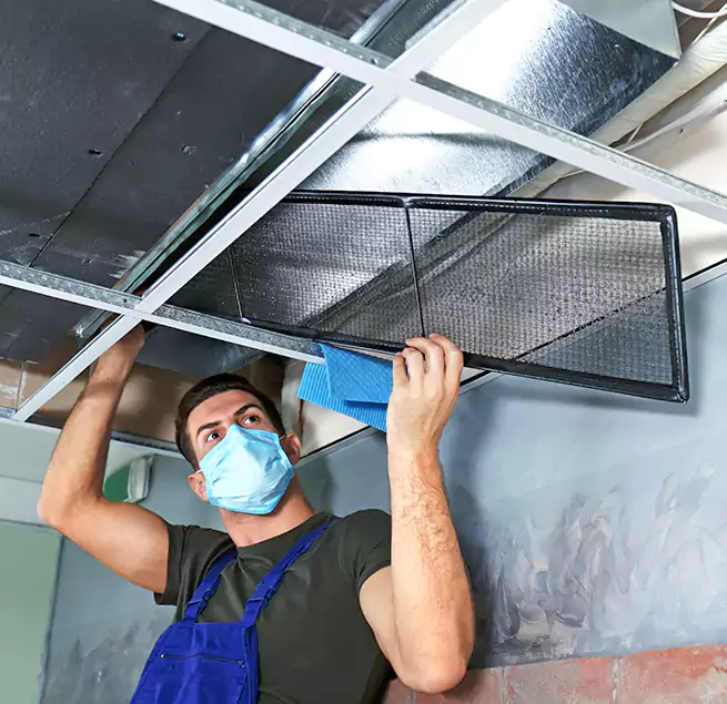 Why Homeowners Businesses Trust Us in Monterey, CA